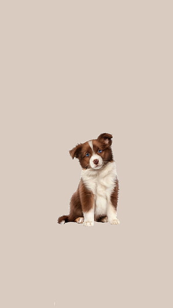 Dog Animal Chien Cute Paint क त त 犬 狗 Hd Mobile Wallpaper Peakpx