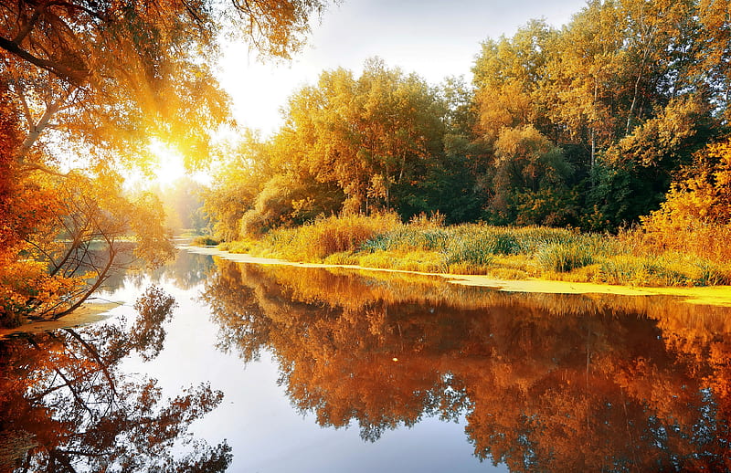 Autumn Reflections, leaves, sun, water, colors, sunset, trees, HD ...
