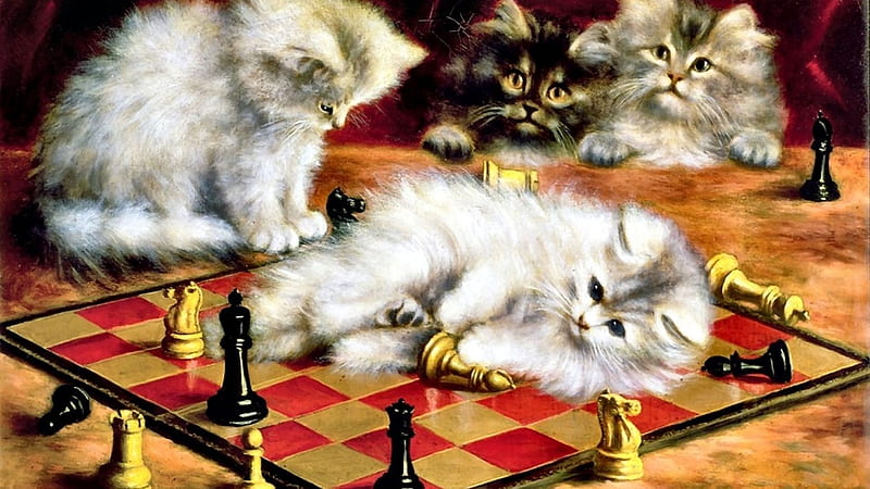 cats-cat-animal-chess-pet-artwork-art-feline-painting-dancing-, Spielen, deutschland, Freunde, Cats, HD wallpaper