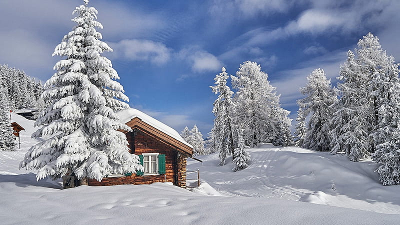 Deep Winter, cabin, sky, trees, snow, clouds, HD wallpaper