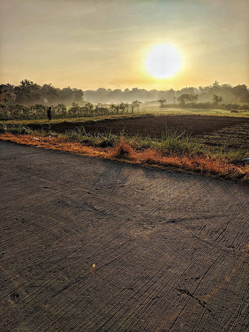 Morning village, sunrise, village nature sunrise, HD phone wallpaper
