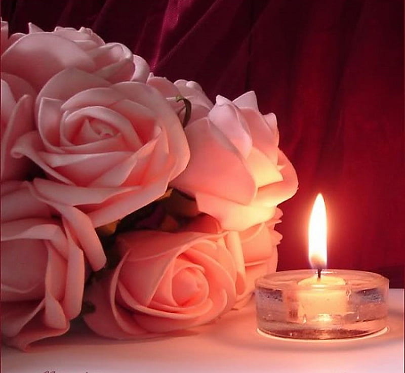 Glow on the roses, candle, glow, flame, roses, pink, HD wallpaper
