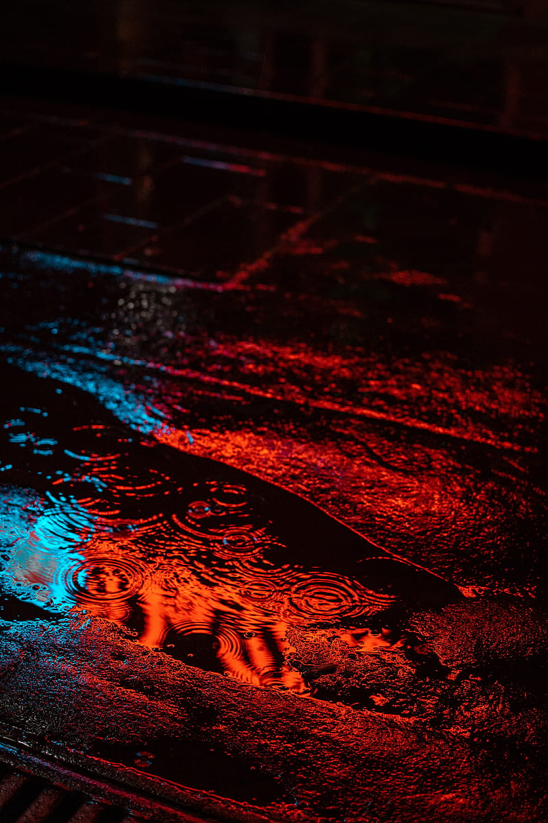 puddle, rain, night, neon, light, HD phone wallpaper