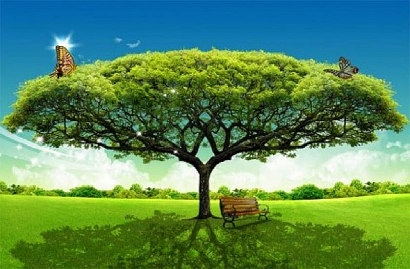 A tree, large, bench, Tree, field, grassland, HD wallpaper