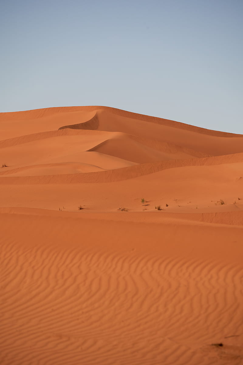 desert, hill, sand, dunes, HD phone wallpaper