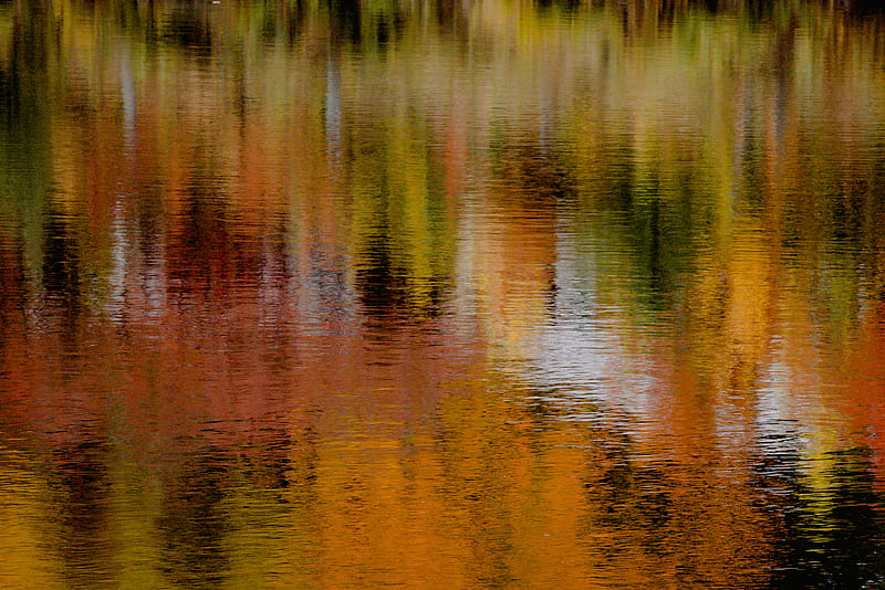 Fall Colors, HD wallpaper