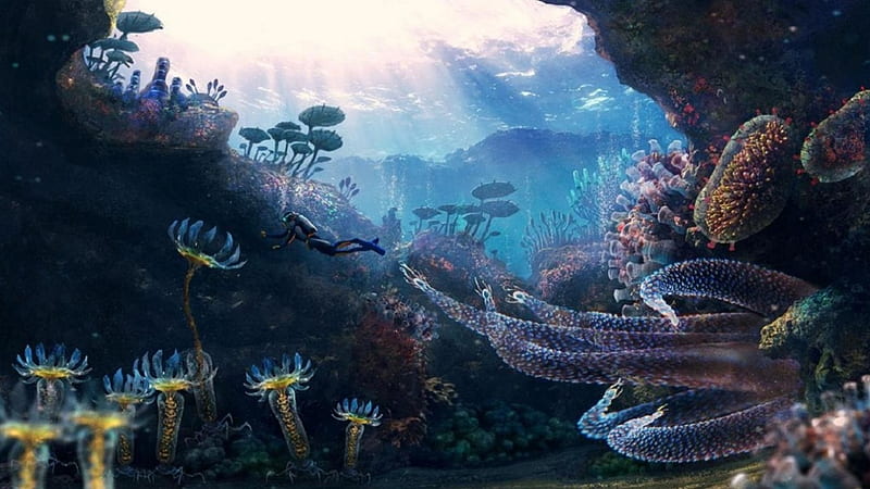 'Underwater paradise'....., scuba diver, underwater, paradise, sea, HD wallpaper