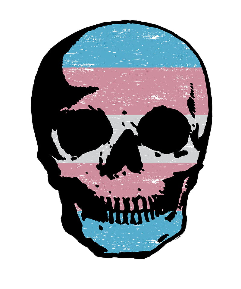 Skull Transgender Flag, Genderqueer, LGBT, LGBTIQAPD, LGBTQ, LGBTQIA, Non-binary, asexual, bisexual, gay, human, iCreate, lesbian, love, myself, pansexual, power, pride, proud, queer, trans, HD phone wallpaper