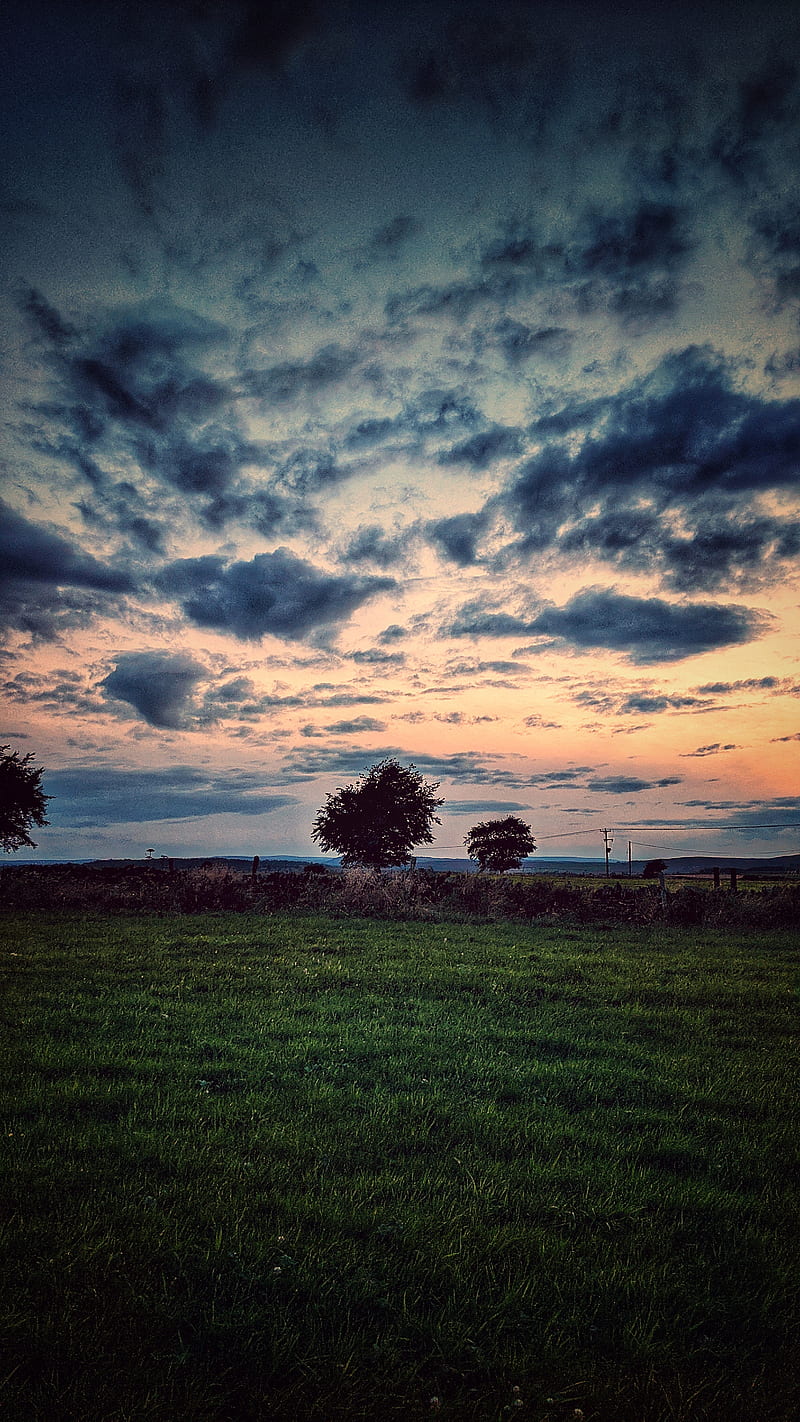 Watching the sunset , big sky, clouds, countryside, cumulus, farming, farmland, land, tree, HD phone wallpaper