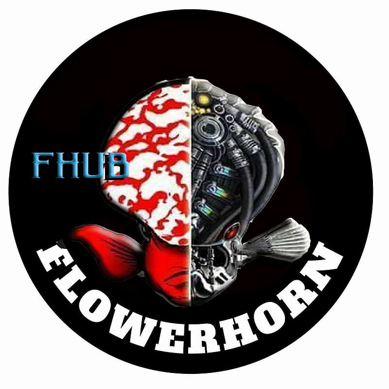FHub, flowerhorn hub, HD phone wallpaper
