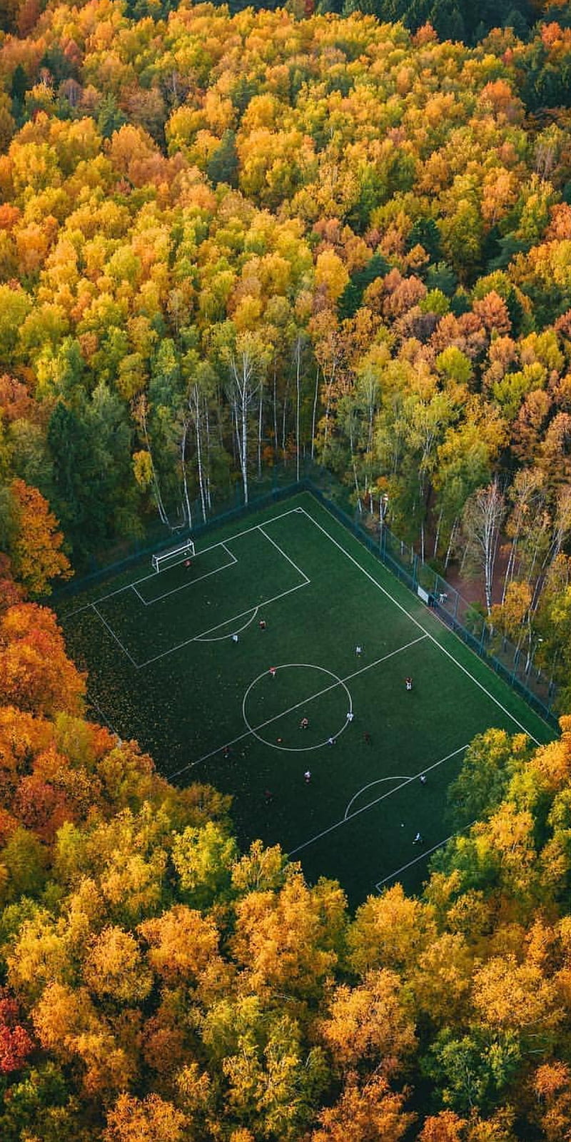 Moscow pitch, football, russia, stadium, autumn, forrest, sport, views, trees, HD phone wallpaper