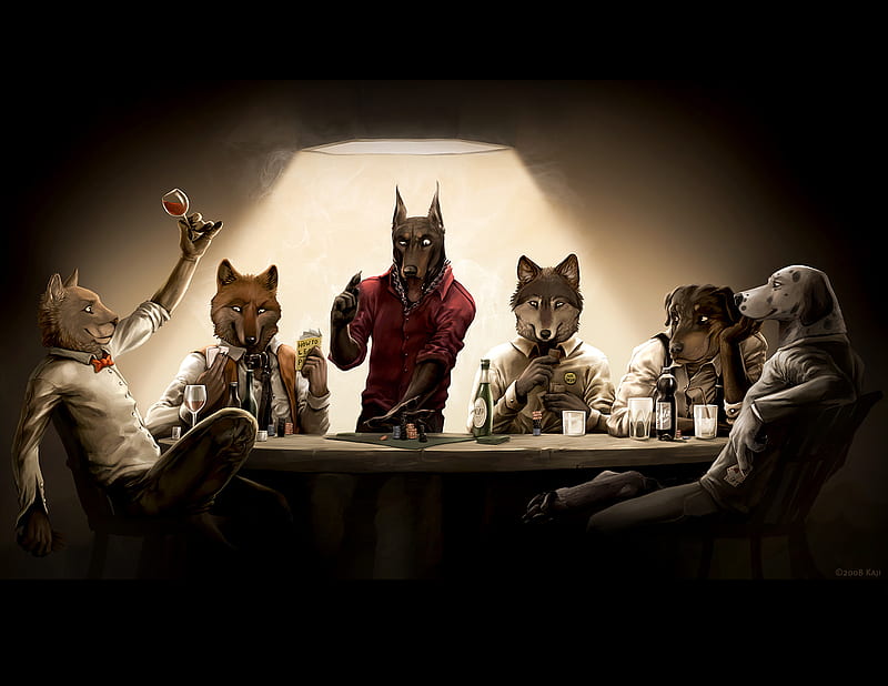 poker bitches, playing, fox, poker, hound, wolf, ect, animals, HD wallpaper