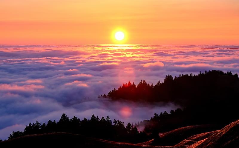 Mount Tamalpais Fog graphy Ultra, Nature, Sun & Sky, bonito, Landscape, Summer, Sunset, California, marin, Outstanding, MountTamalpais, MtTam, HD wallpaper