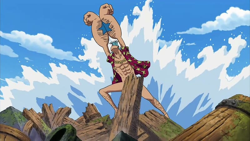 Franky | The Fairy One Piece Tail Universe Wiki | Fandom