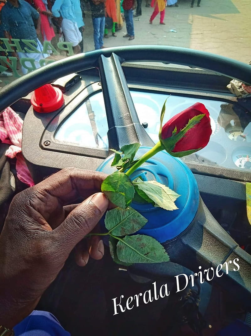 Kerala Drivers, ashok leyland, bus, steering wheel, red rose, rose, valentine, valentine day, car, HD phone wallpaper