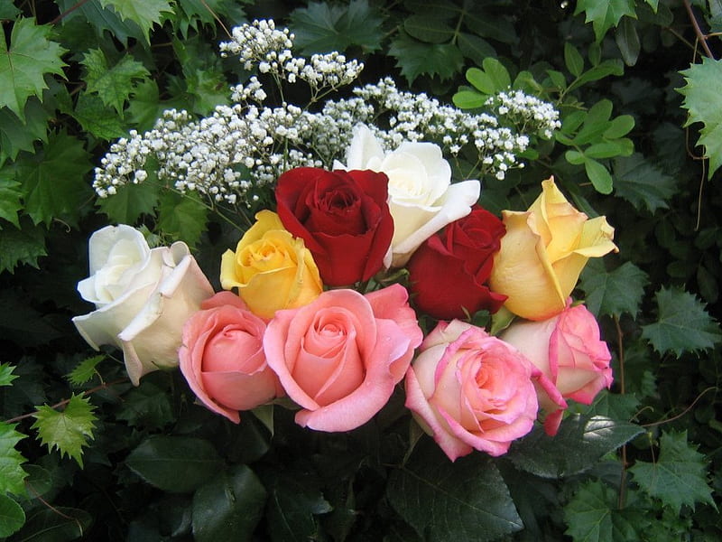 Roses Bouquet, roses, roses bouquets roses bouquets, HD wallpaper | Peakpx