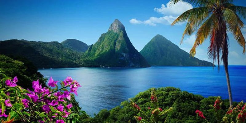 Honeymoon St. Lucia, Caribbean Island, ocean, urple, sky, caribbean, mountain, water, green, lucia, flowers, nature, island, saint, blue, HD wallpaper