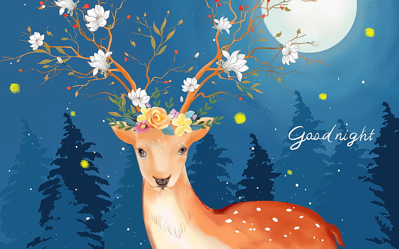 Sika deer good night creative illustration design, HD wallpaper