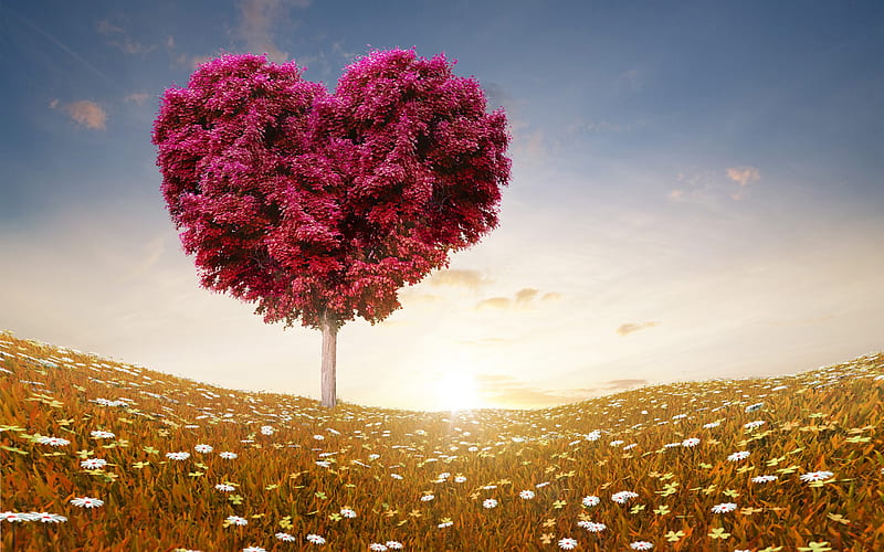 Love Heart Tree, valentine-day, celebrations, heart, love, tree, HD wallpaper