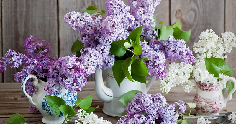 Bouquet, vase, lilac, flowers, HD wallpaper | Peakpx