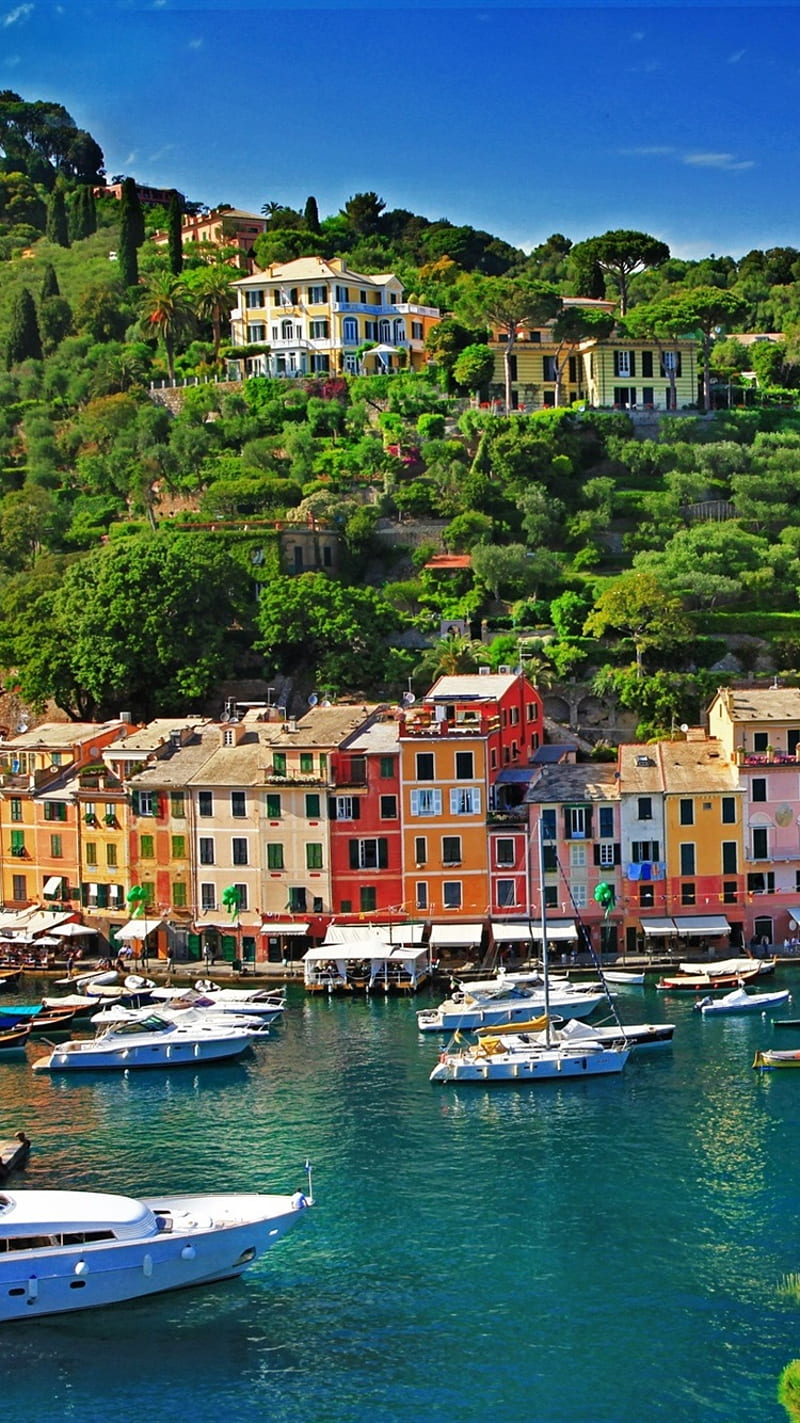Italy, Portofino, Sea, Boats, Houses, Buildings, City IPhone 8 7 6 6S , Background, HD phone wallpaper