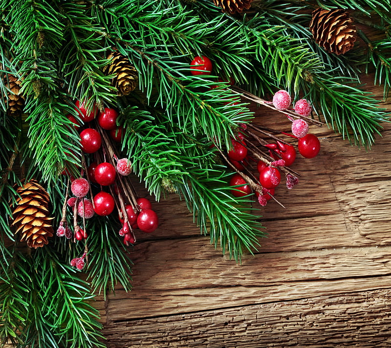 Christmas Decoration, berries, fir, merry, tree, wood, HD wallpaper