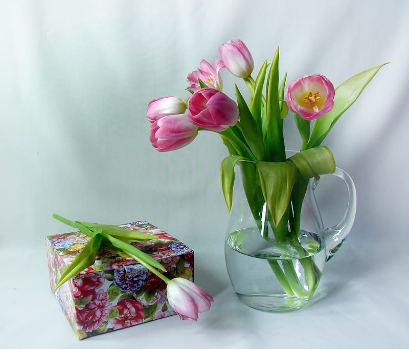 still life, bouquets, box, bonito, gift, graphy, nice, cool, water, flower, jug, flowers, tulips, tulip, harmony, HD wallpaper
