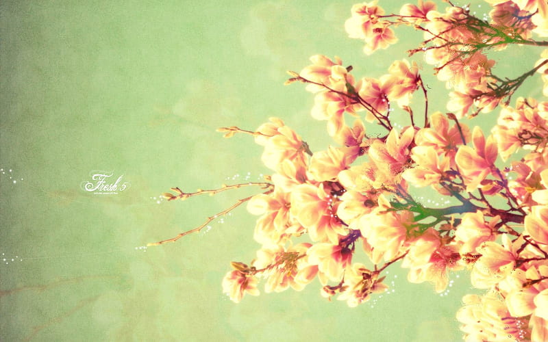 Yellow flowers-spring landscape, HD wallpaper