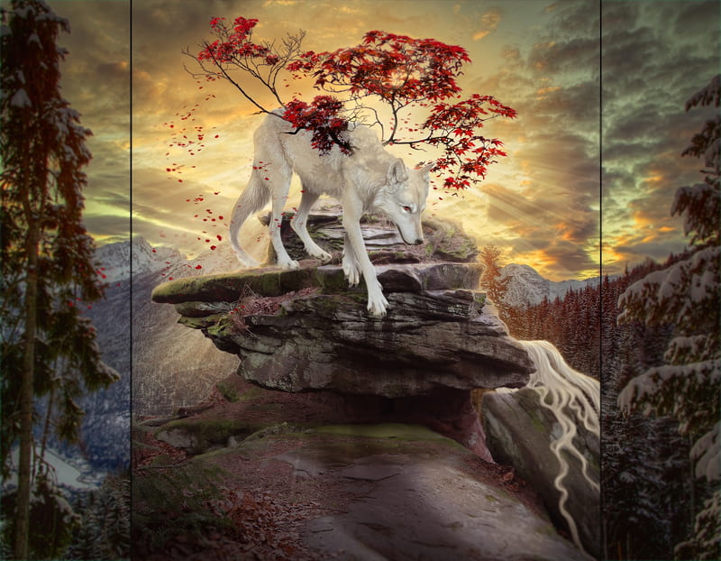 Dawn poured in, red, autumn, luminos, yellow, collage, fantays, leaf, triptic, lup, wolf, white, xxnamaste, HD wallpaper