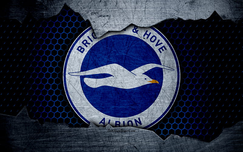Brighton and Hove Albion FC football, Premier League, emblem, logo, football club, Brighton and Hove, UK, metal texture, grunge, HD wallpaper