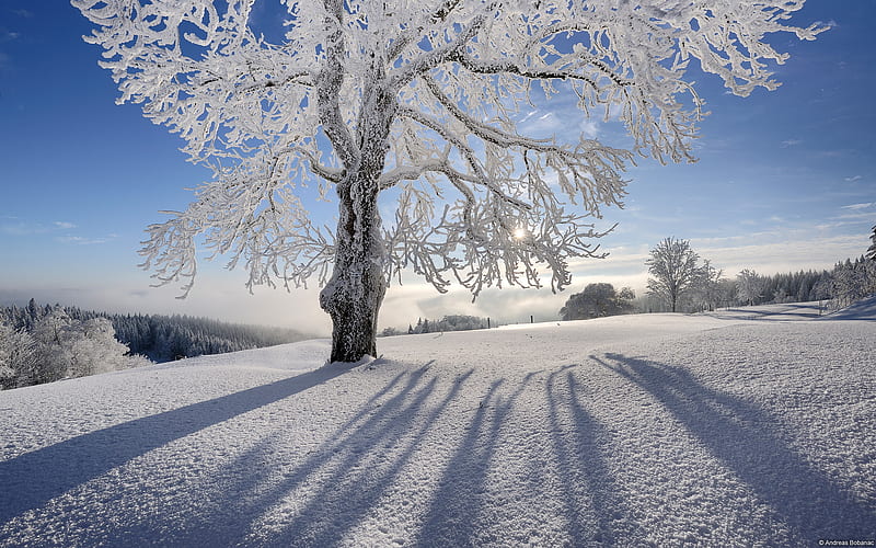 Beautiful Winter, sun, snow, view, bonito, sky, blue, winter, HD wallpaper
