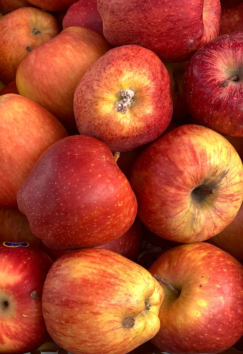 apples, fruit, fresh, ripe, red, HD phone wallpaper