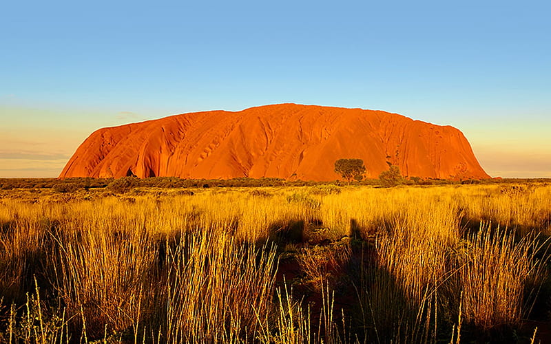 Uluru, outback, grass, rock, HD wallpaper