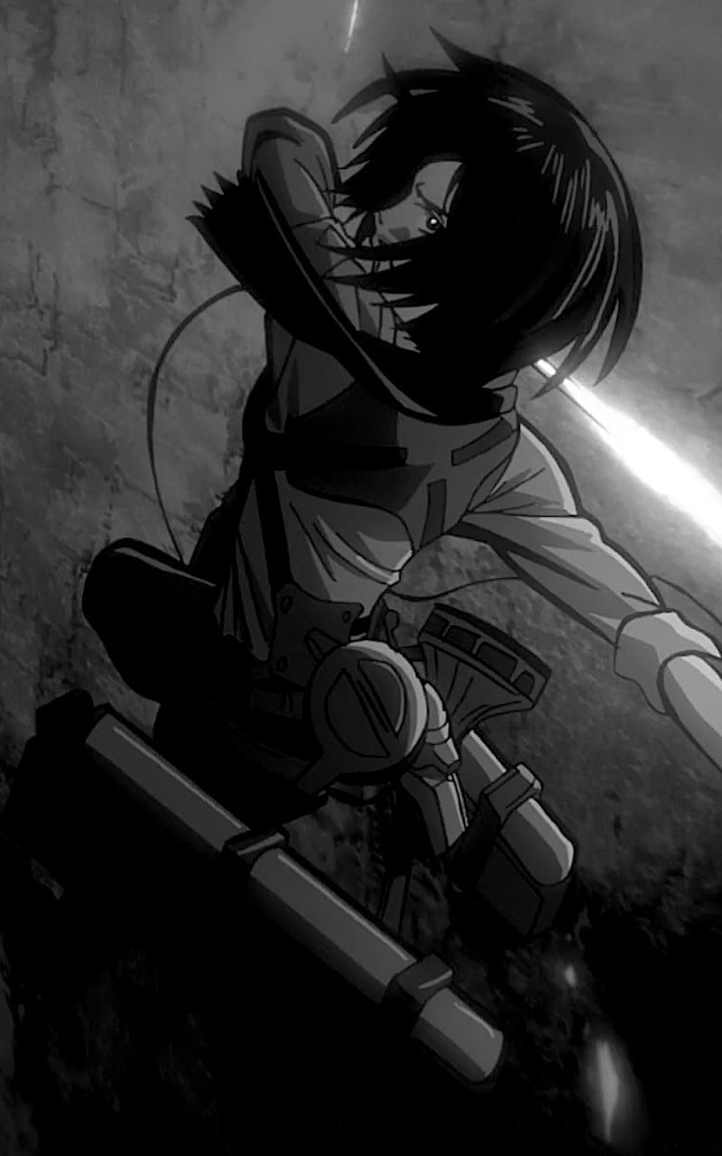 720P free download | Mikasa, attack on titan, HD phone wallpaper | Peakpx