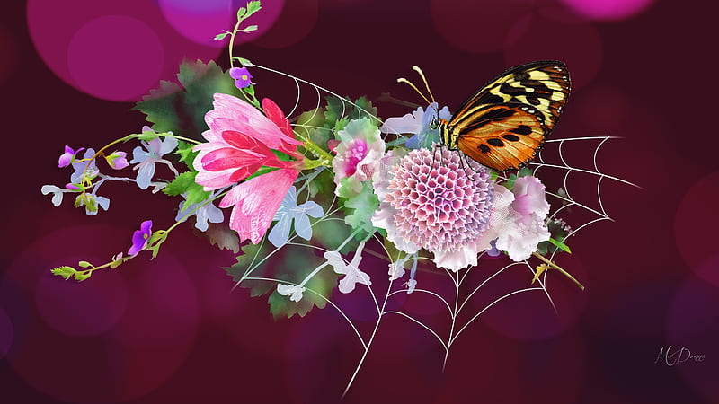 Summe Butterfly Web, bokeh, butterfly, summer, flowers, spring, pink, spider web, floral, desenho, HD wallpaper