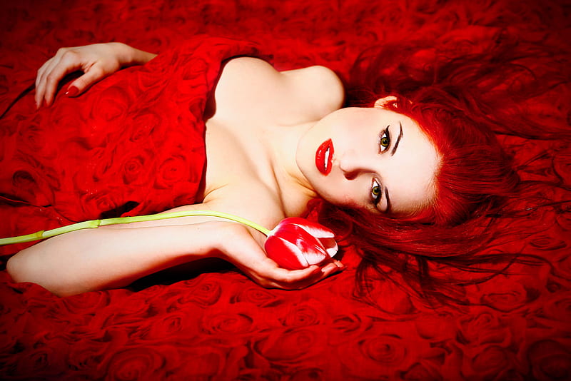 Red Tulip, red, model, cover, in bed, bonito, tulip, laying, HD wallpaper