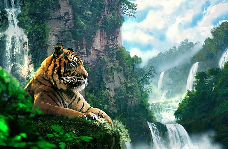 Lookout, waterfall, cliff, tiger, hunter, HD wallpaper
