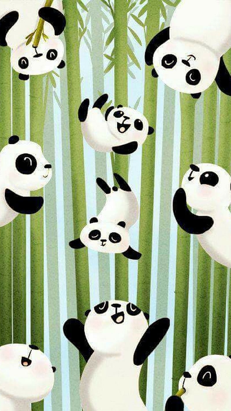 Panda Live, Bamboo Background, animal, bear, HD phone wallpaper
