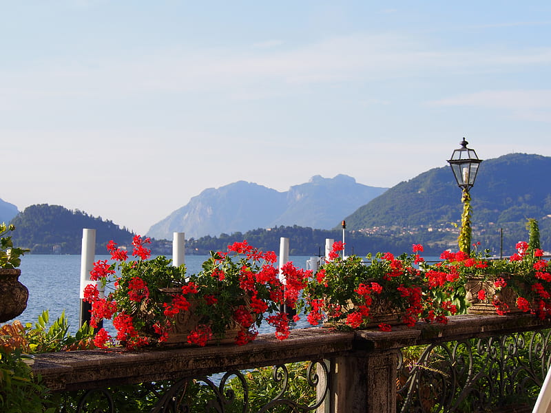Lake Como, Italy, mountains, flowers, blossoms, alps, landscape, HD wallpaper