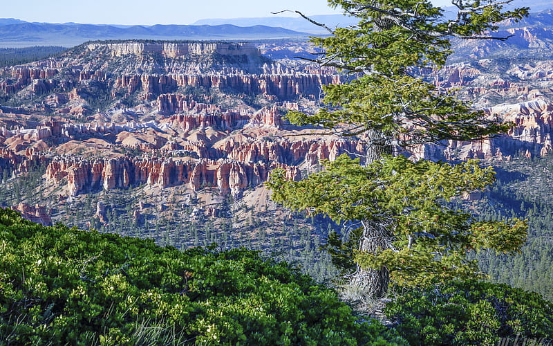 America, cliffs, mountains, Bryce Canyon National Park, Utah, USA, HD wallpaper