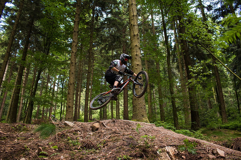 bike, cyclist, jump, mtb, cross country, forest, trees, HD wallpaper