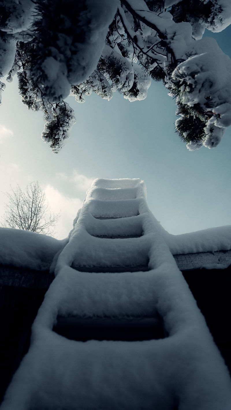 ladder, snow, branch, winter, HD phone wallpaper