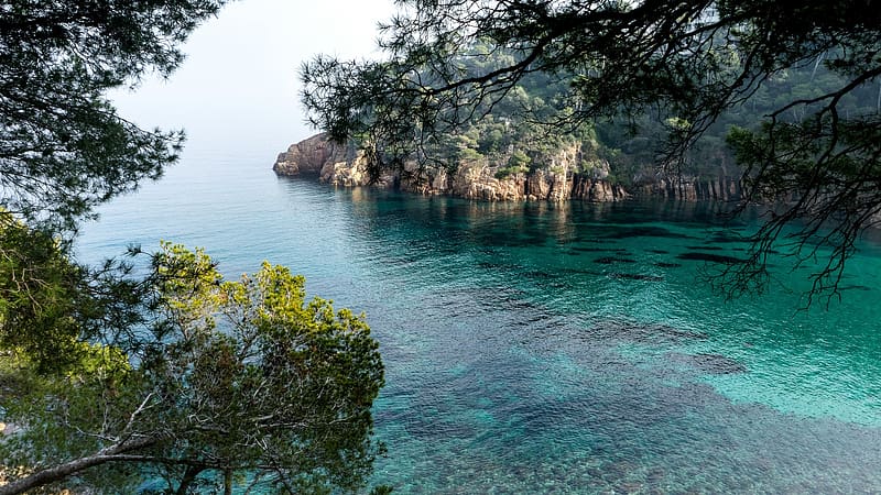 Costa Brava, Spain, Near Girona, sea, trees, rocks, coast, mediterranean, HD wallpaper