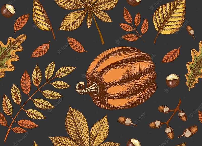 Premium Vector. Autumn seamless pattern with hand drawn leaves and pumpkins. leaves of maple, birch, chestnut, acorn, ash tree, oak. sketch. for, Fall Illustration, HD wallpaper