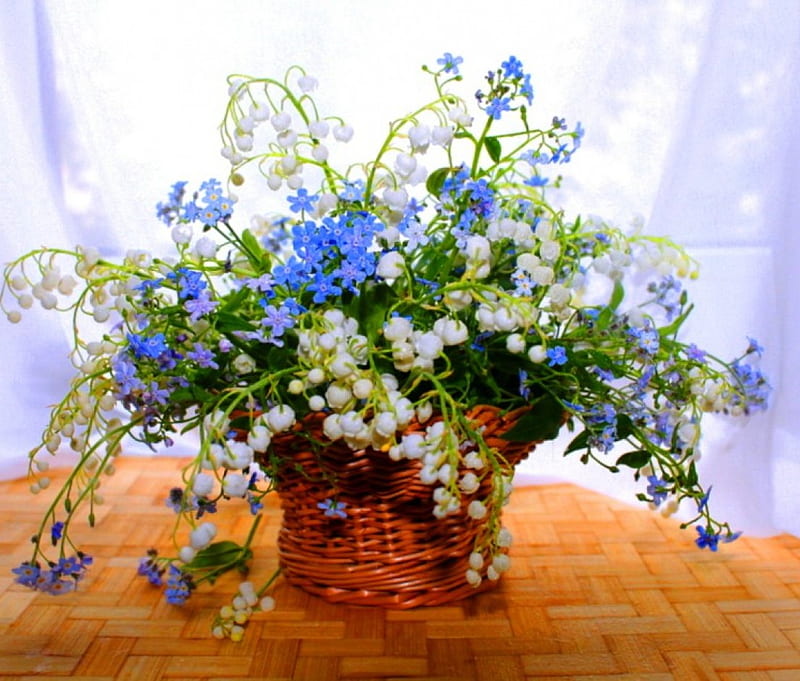 Basket with flowers lily of the valley and forget-me-not, with flowers lily of the valley and forget-me-not, lily of the valley, forget-me-not, spring, delicate, still life, graphy, basket, flowers, nature, white, blue, HD wallpaper