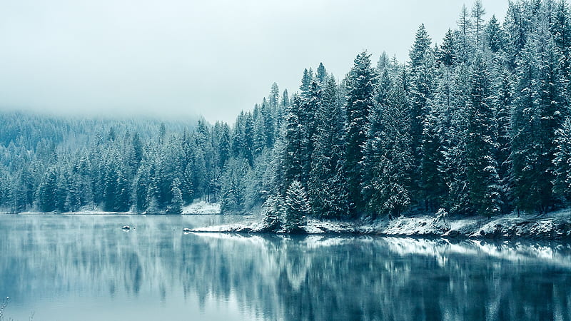 forest, snow, winter, lake, scenic, trees, Landscape, HD wallpaper