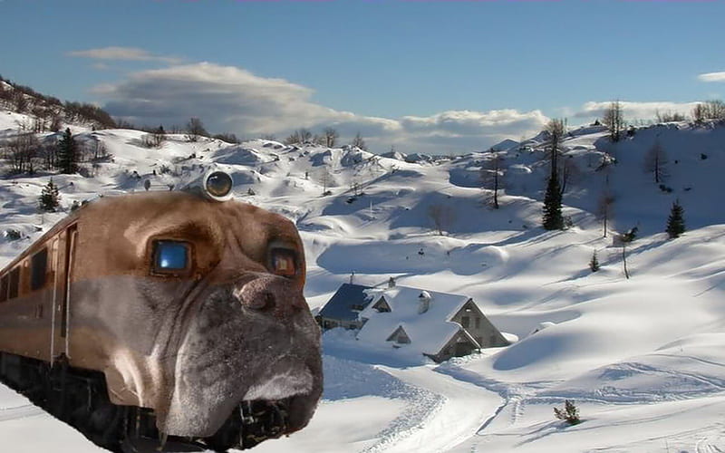 Bulldog Passenger Train, scenic, train, snow, dog, HD wallpaper