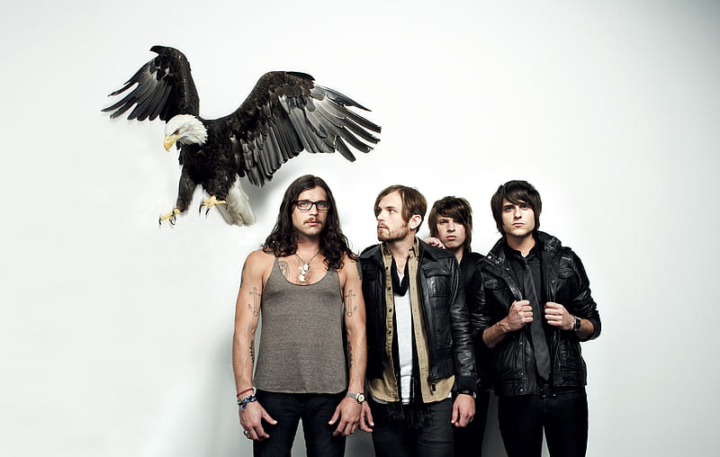 Band (Music), Kings Of Leon, HD wallpaper