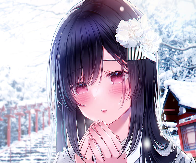 Cute shy anime girl HD wallpapers  Pxfuel