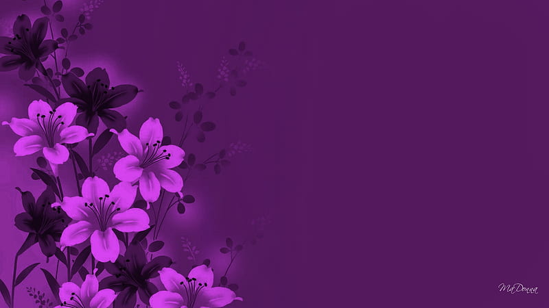 Florals in Magenta, , purple, magenta, flowers, firefox persona, abstract, HD wallpaper